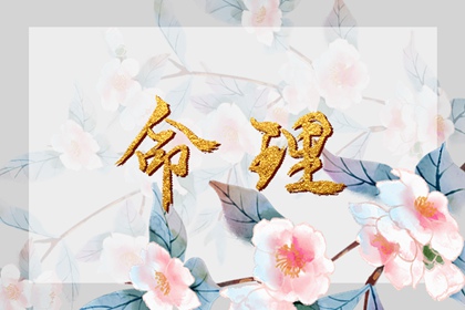 择吉黄历_黄历择吉_择吉日查询